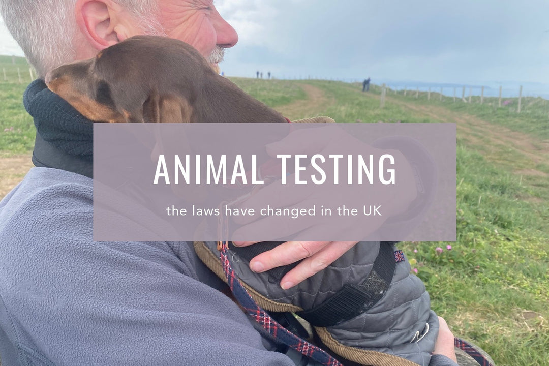 Animal Testing In The UK - Cosy Cottage Soap