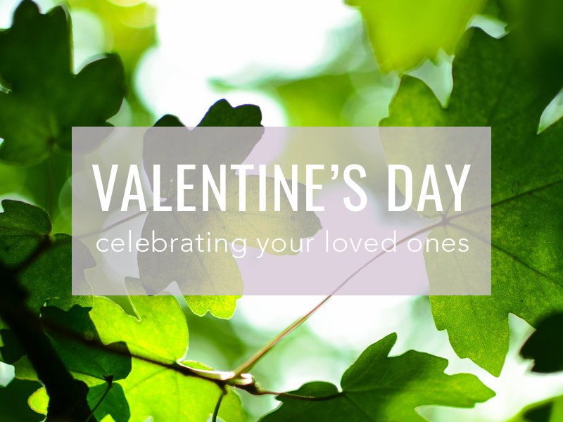Ways to Celebrate Valentine's Day - Cosy Cottage Soap