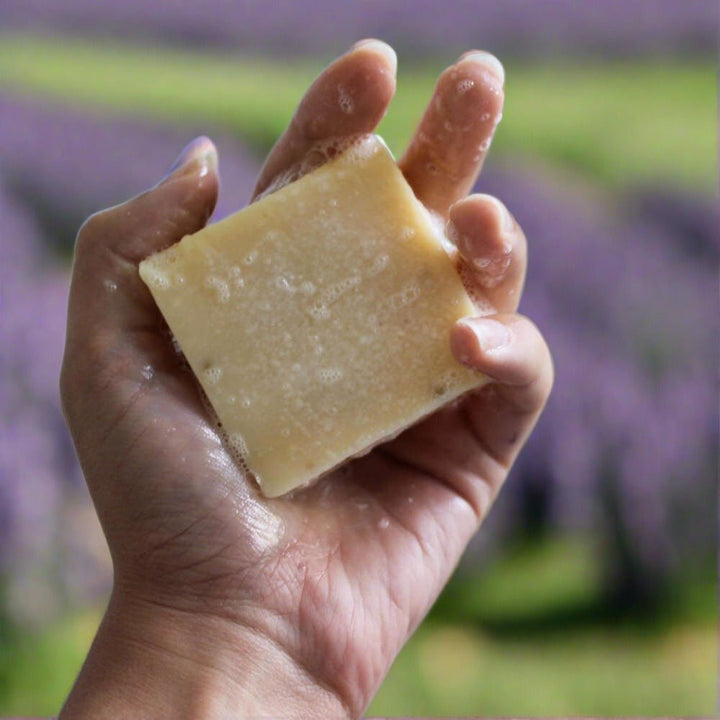 Bulk Buy Lavender Soap - Cosy Cottage Soap