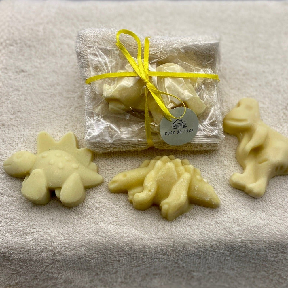 Soapy Dino Friend and Cloth Set - Cosy Cottage Soap